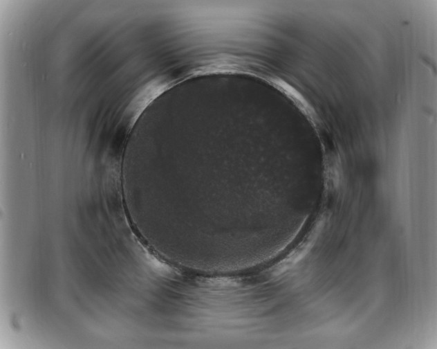 X0000097671337200802291451