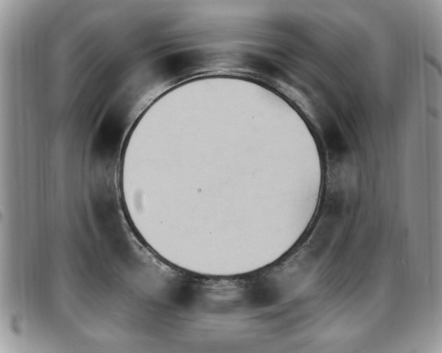 X0000097671338200802291451