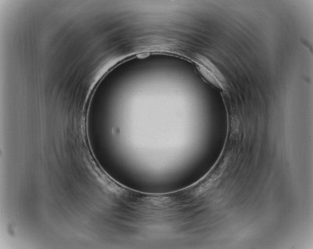 X0000097671340200802291451