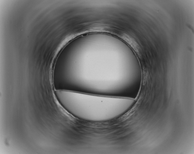 X0000097671342200802291451