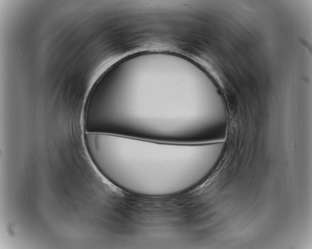 X0000097671343200802291451