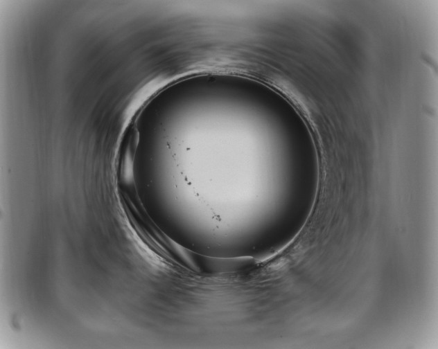 X0000097671344200802291451