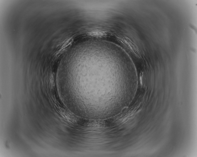 X0000097671347200802291450