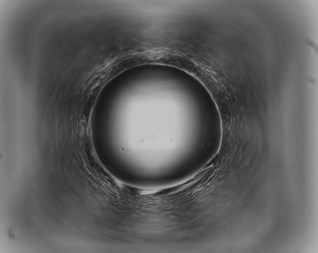 X0000097671349200802291450