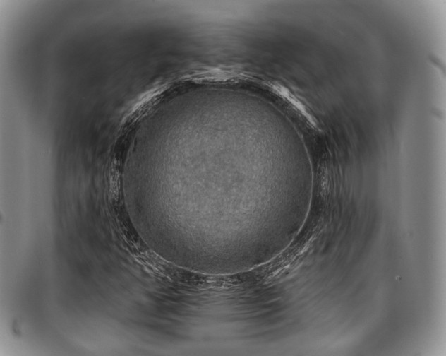 X0000097671350200802291450