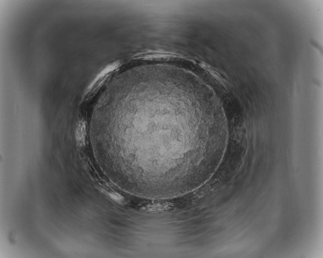 X0000097671351200802291450
