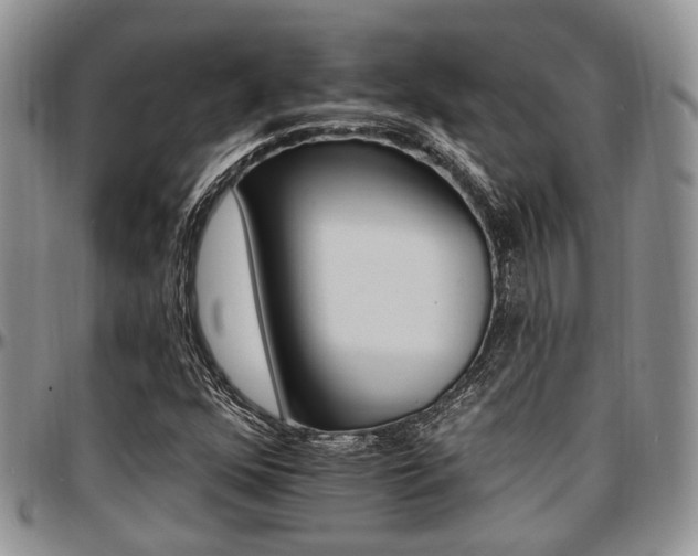 X0000097671352200802291450