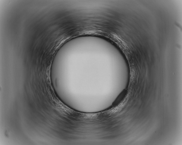X0000097671353200802291450