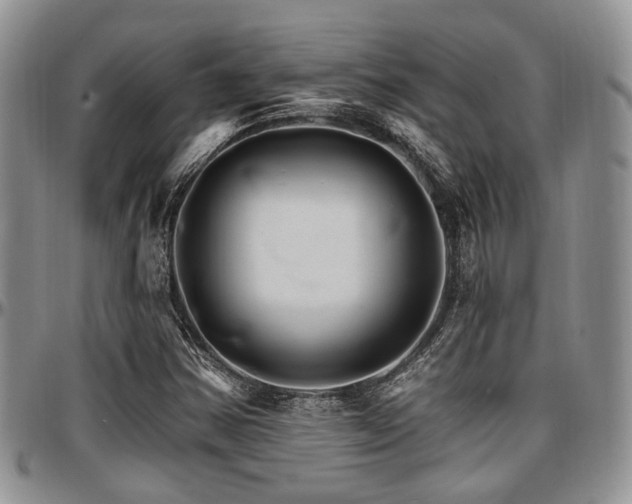 X0000097671354200802291450