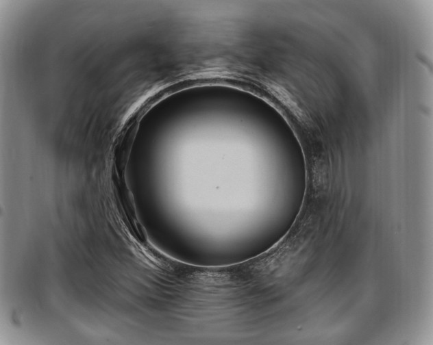 X0000097671356200802291450