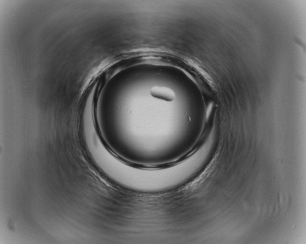 X0000097671357200802291450