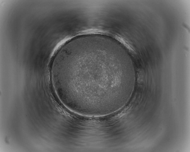 X0000097671358200802291450