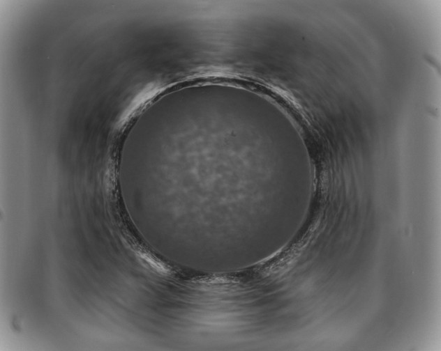 X0000097671359200802291450