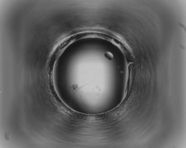 X0000097671360200802291450