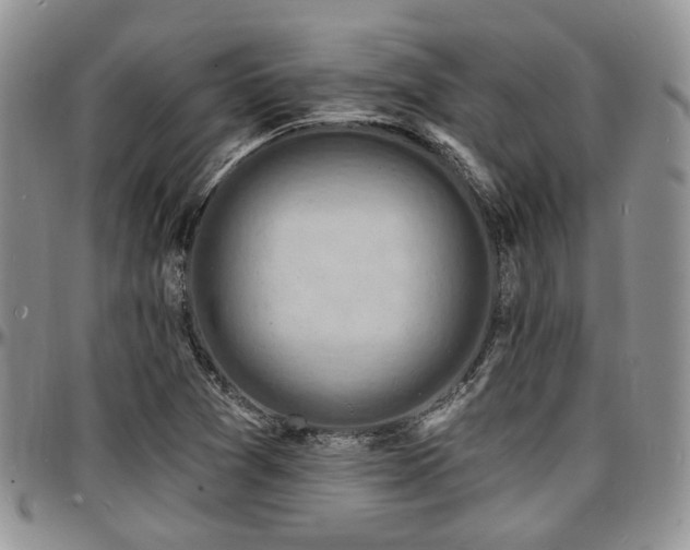 X0000097671361200802291450