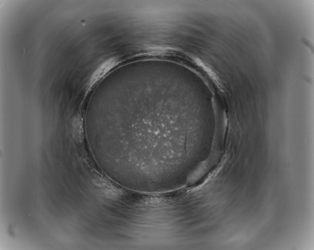 X0000097671362200802291450