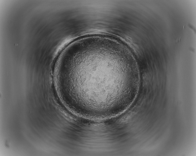 X0000097671363200802291450