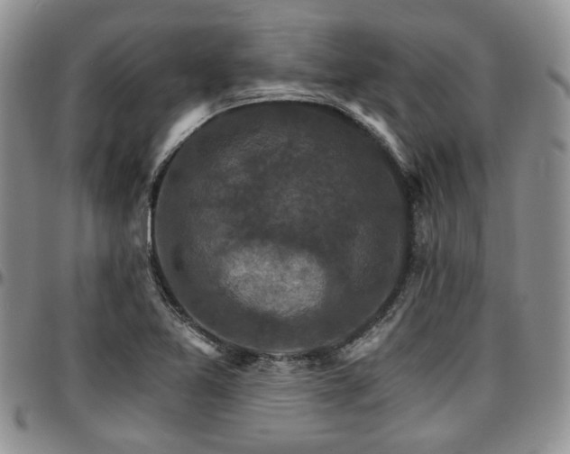 X0000097671365200802291450