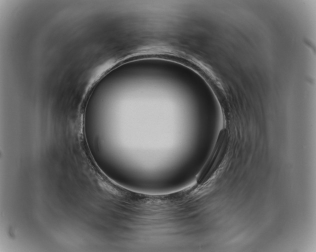 X0000097671366200802291450