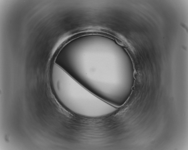 X0000097671368200802291450