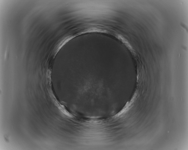 X0000097671369200802291450