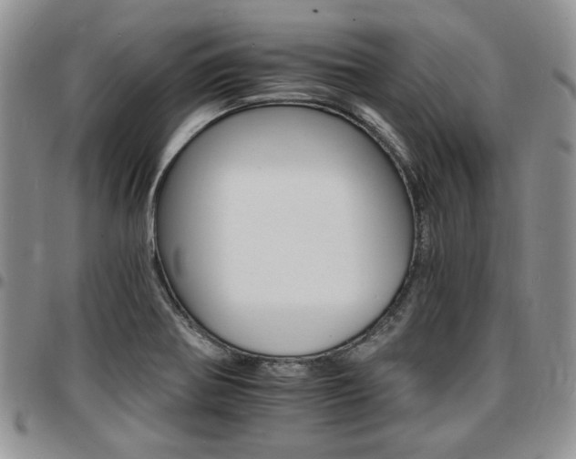 X0000097671370200802291450
