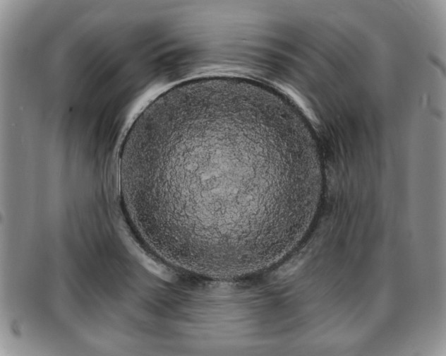 X0000097671371200802291450