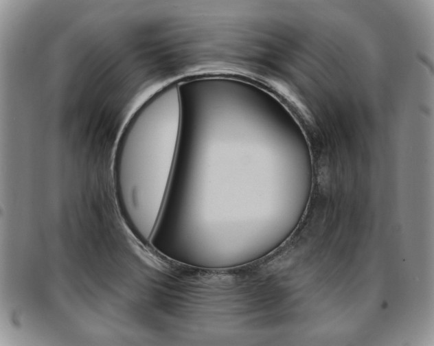X0000097671372200802291450
