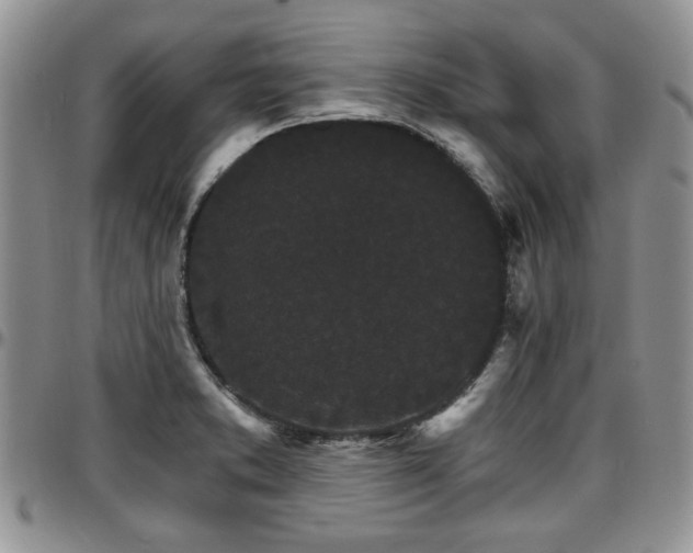 X0000097671373200802291450