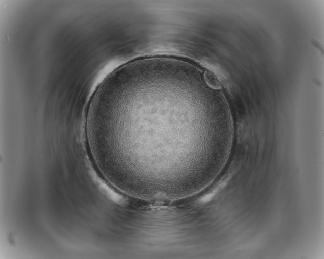 X0000097671374200802291450