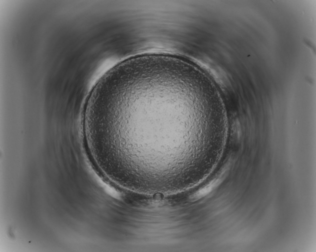 X0000097671375200802291450