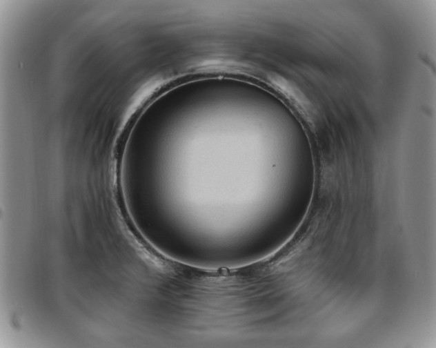 X0000097671376200802291450