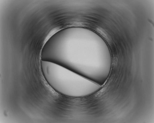 X0000097671378200802291450