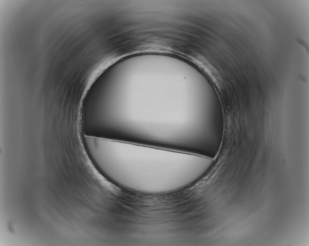 X0000097671379200802291450