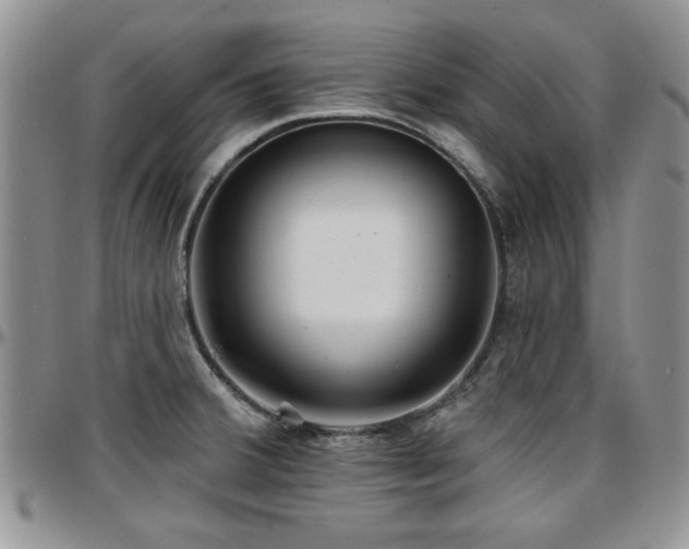X0000097671380200802291450