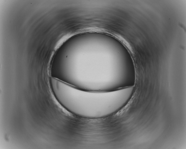 X0000097671381200802291450