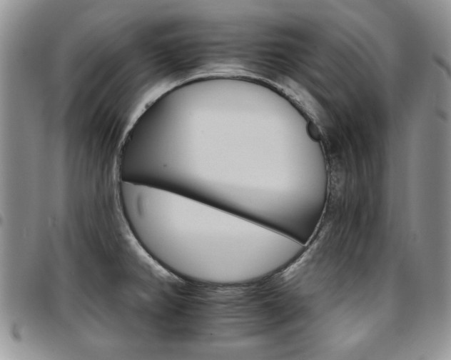 X0000097671382200802291450