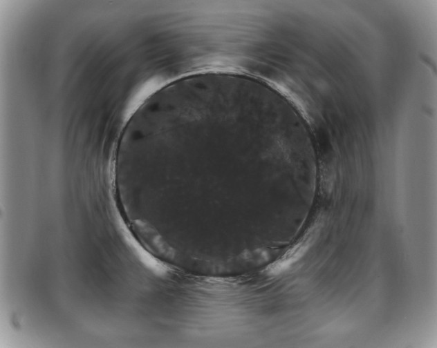 X0000097671383200802291450