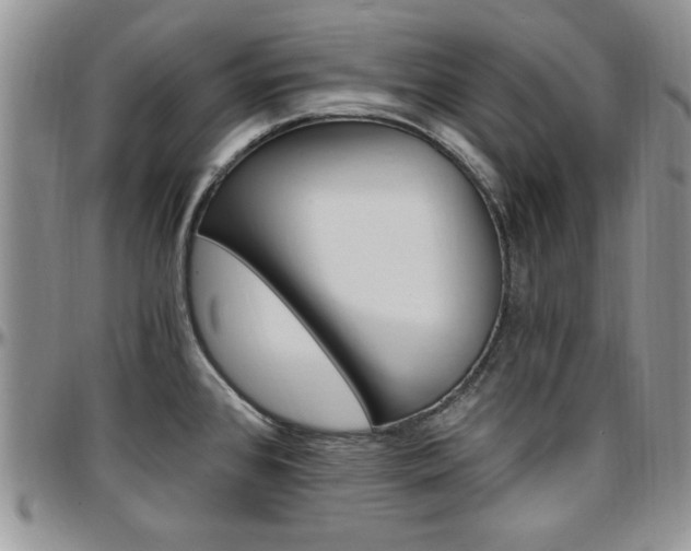 X0000097671384200802291450