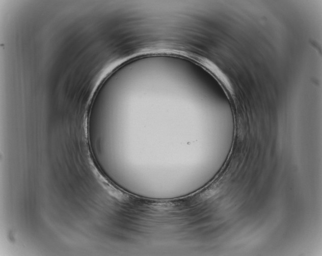 X0000097671388200802291450