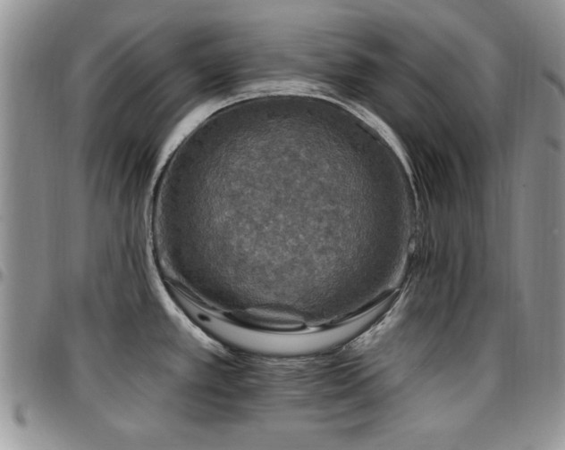 X0000097671389200802291450