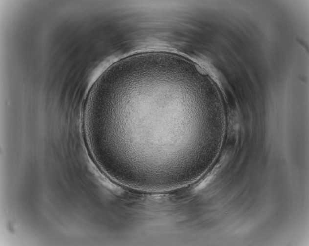 X0000097671390200802291450