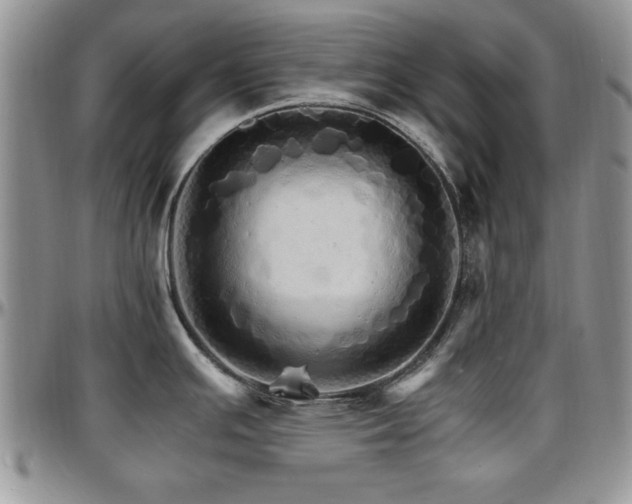 X0000097671391200802291450