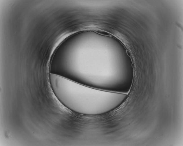 X0000097671392200802291450