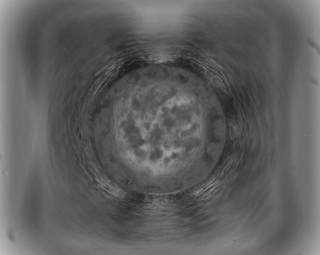 X0000097671393200802291449