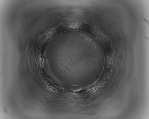 X0000097671394200802291449