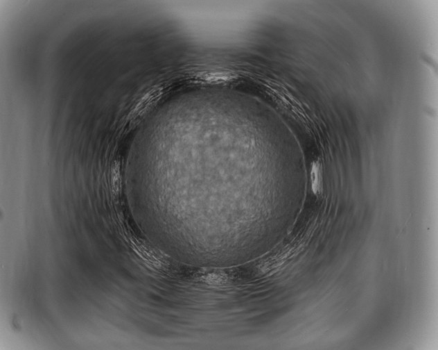 X0000097671395200802291449