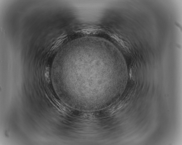 X0000097671396200802291449