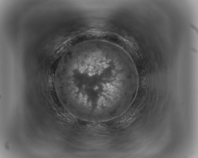 X0000097671397200802291449