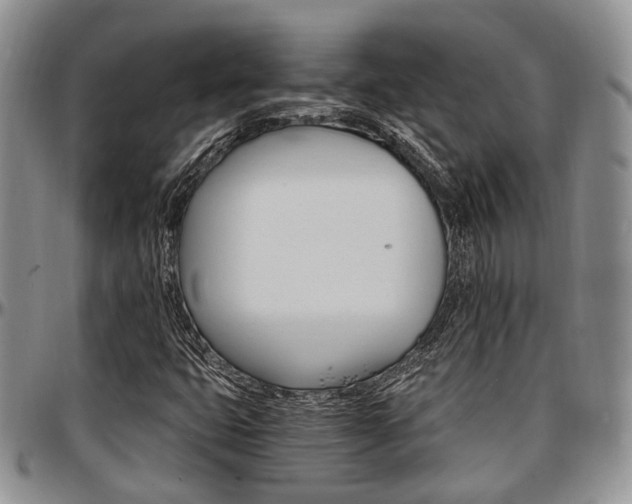 X0000097671399200802291449